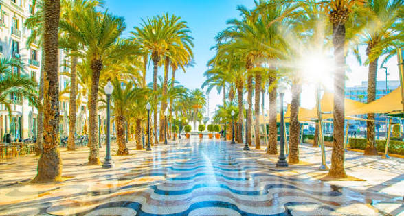 The palm-lined Explanada de España in Alicante